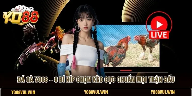 Chiến kê dáng đứng vững, chân vảy chắc khi chọn gà đá