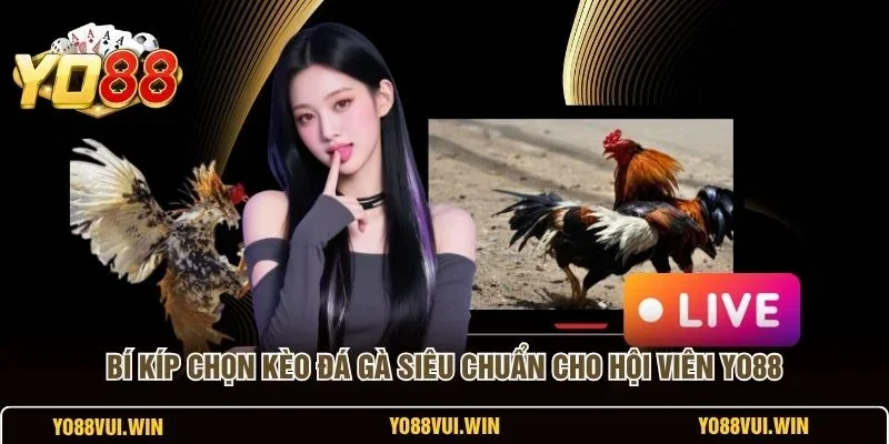 Các loại hình Đá Gà YO88 hiển thị trên màn hình livestream
