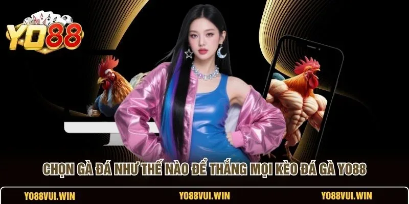 Hội viên YO88 phân tích kèo đá gà trước giờ vào trận